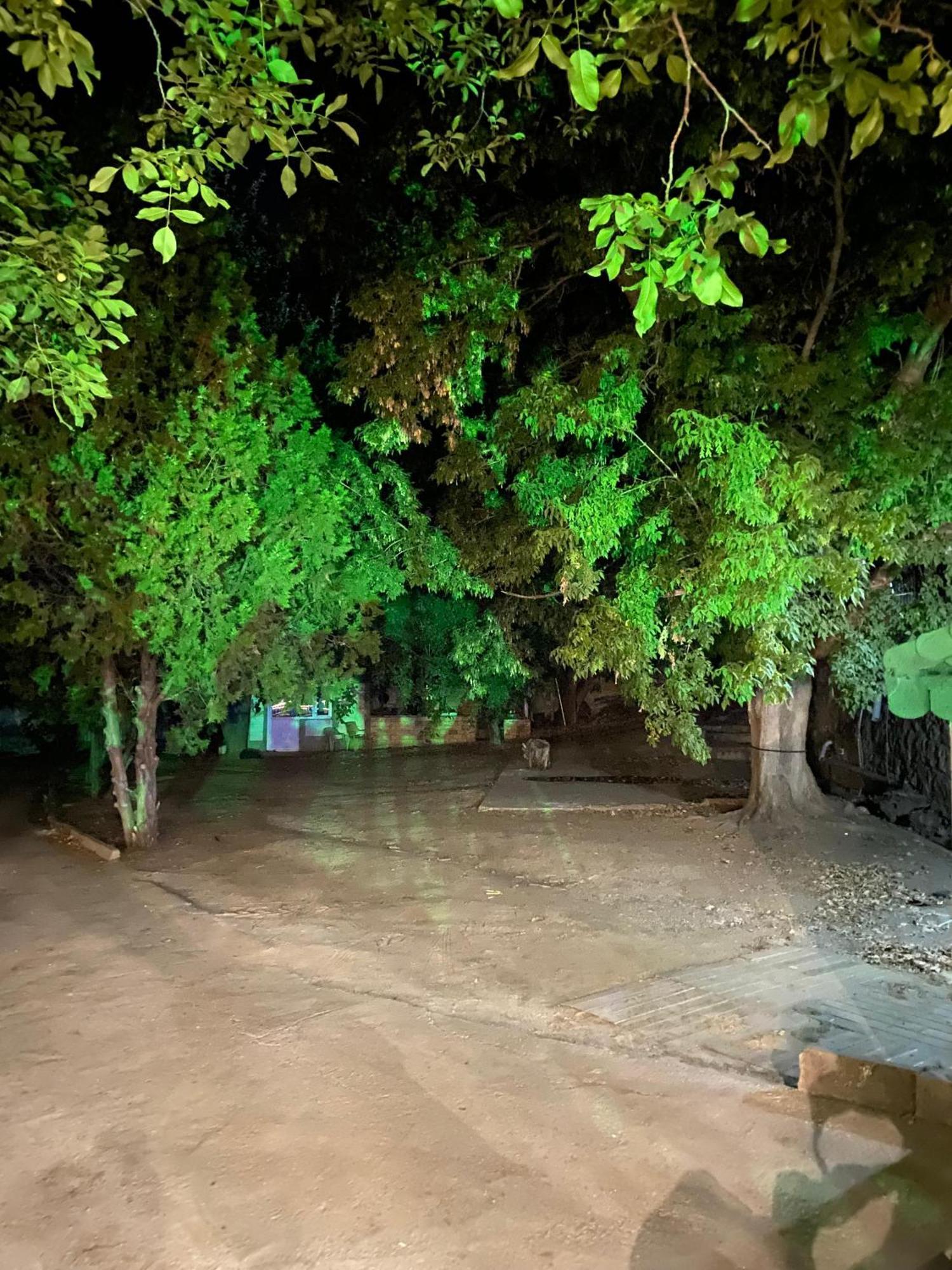 Erdem Ciftligi/ Ephesus Arena Apartment Selcuk Exterior photo